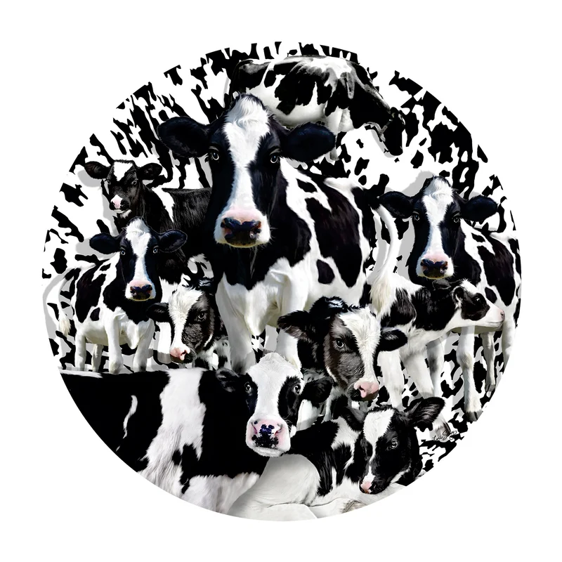 Herd of Cows (Shaped), Lori Schory