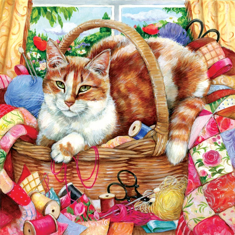 A Perfect Spot, Debbie Cook