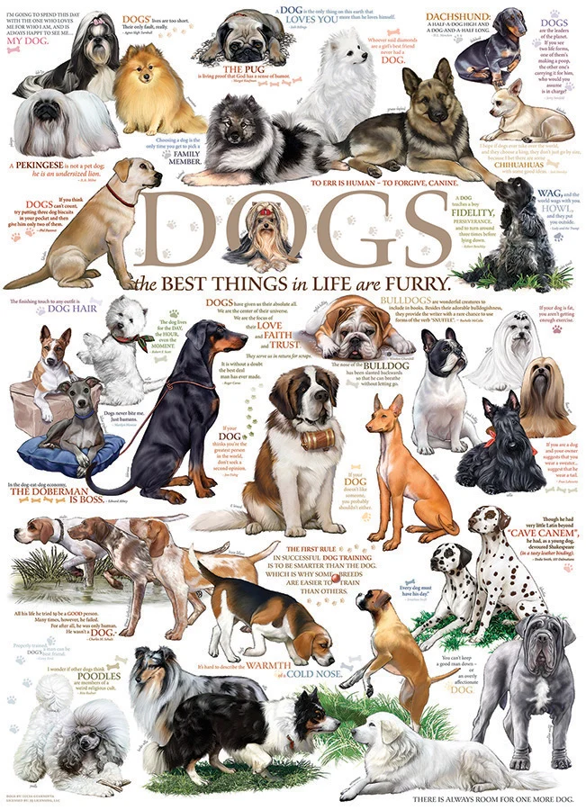 Dog Quotes, Lucia Guarnotta