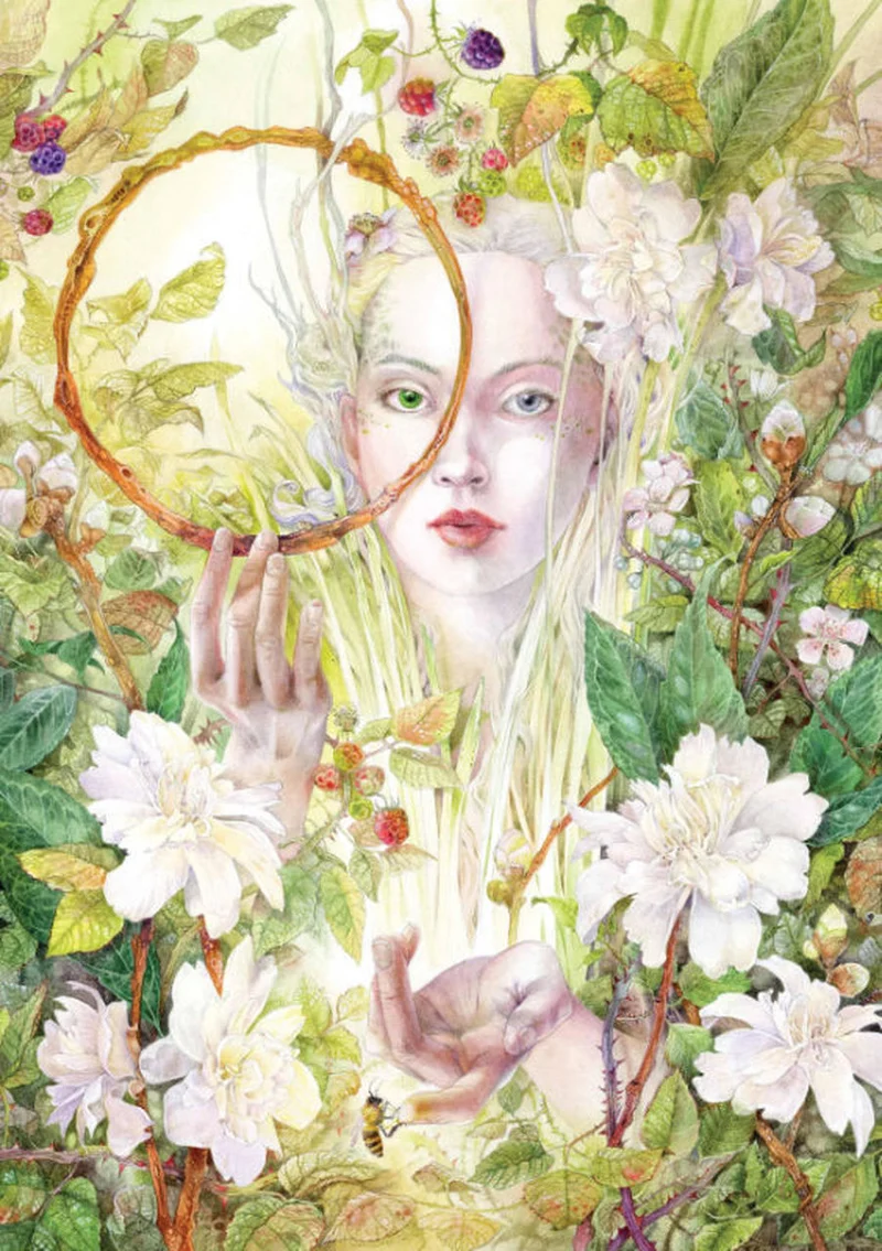 Daphnis, Stephanie Law