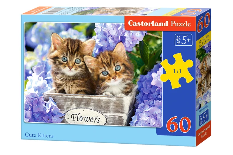 Cute Kittens, 60pc