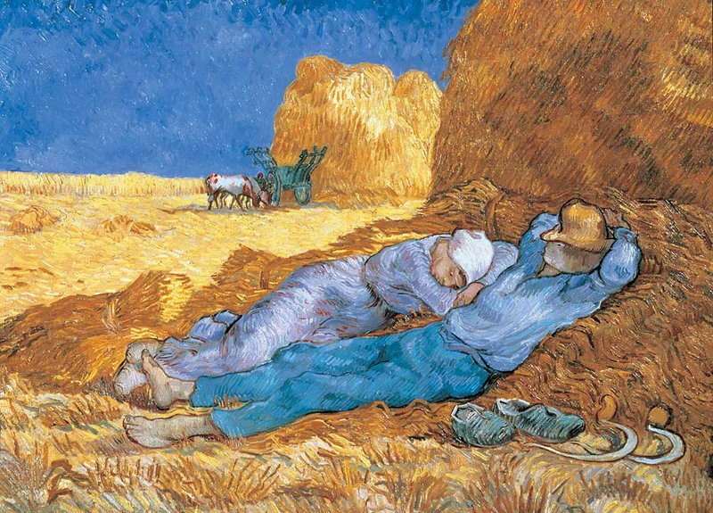 The Siesta