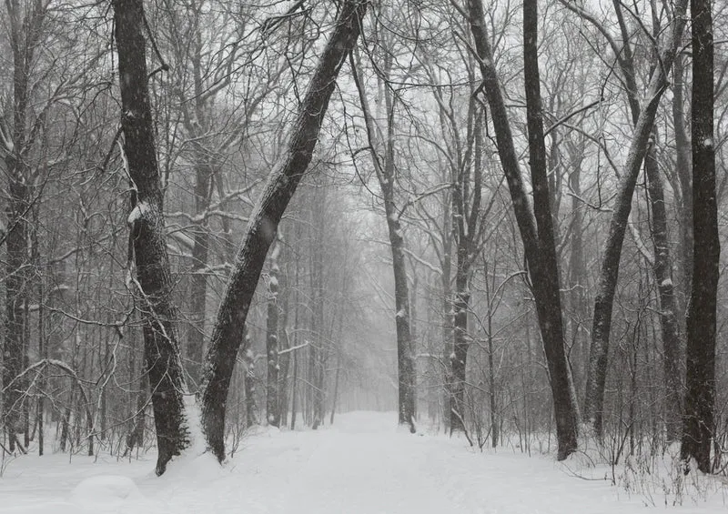 45548 Natur - Winter Puzzle