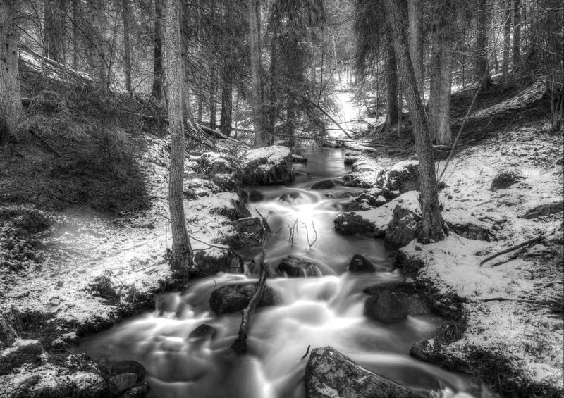 18424 Natur - Winter Puzzle
