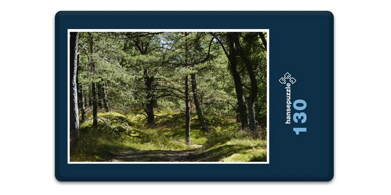 18422 Natur - Dünenlandschaft Puzzle