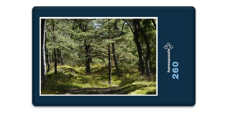 18422 Natur - Dünenlandschaft Puzzle