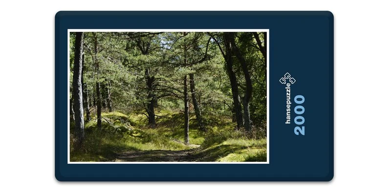 18422 Natur - Dünenlandschaft Puzzle