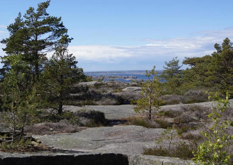 18421 Natur - Schweden Puzzle