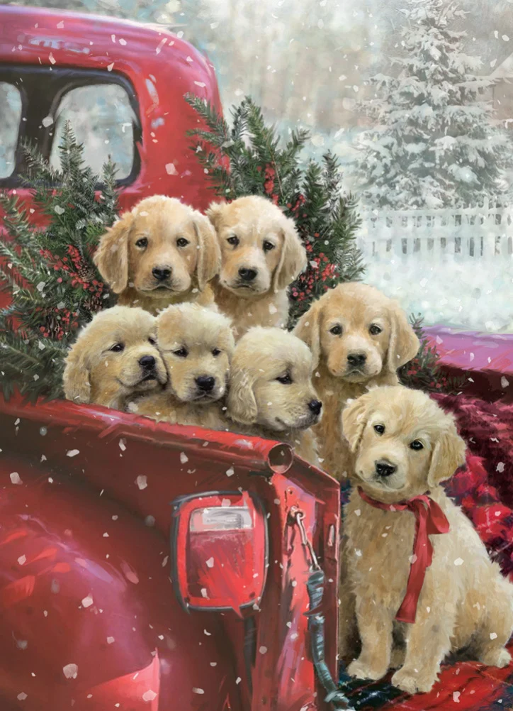 Christmas Delivery