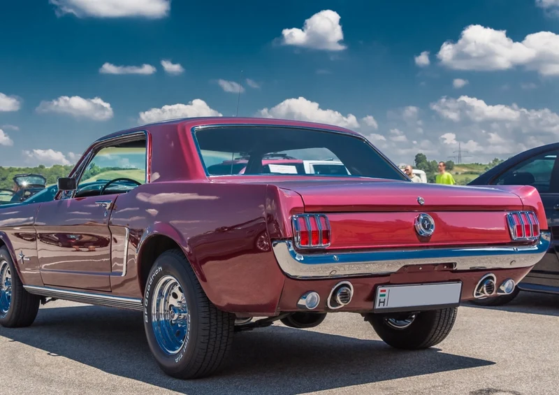 46072 Fortbewegung - Mustang Puzzle
