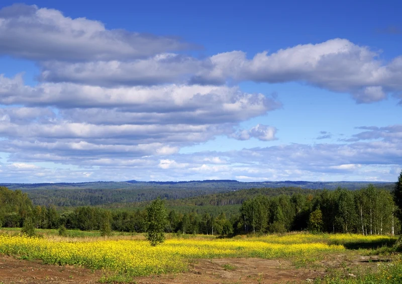 45538 Natur - Wolken Puzzle