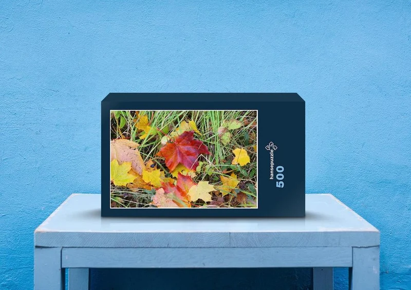 20823 Natur - Blätter im Gras Puzzle