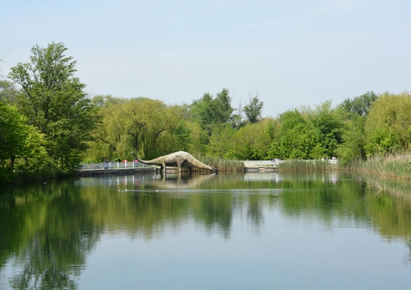 45525 Natur - See Puzzle