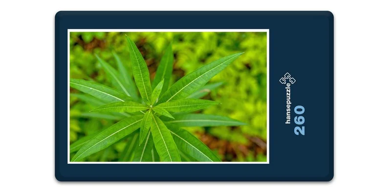 18419 Natur - Pflanze Puzzle