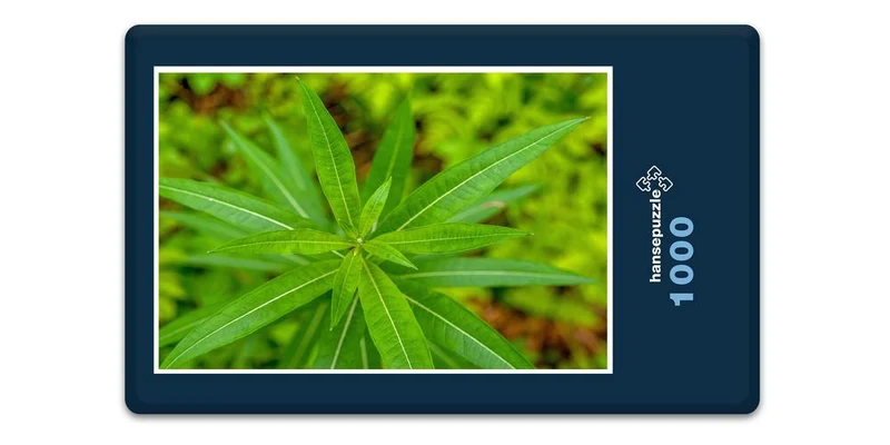 18419 Natur - Pflanze Puzzle