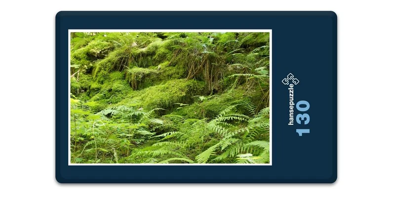18415 Natur - Farne Puzzle