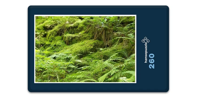 18415 Natur - Farne Puzzle