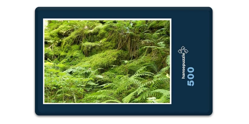 18415 Natur - Farne Puzzle