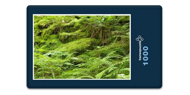 18415 Natur - Farne Puzzle