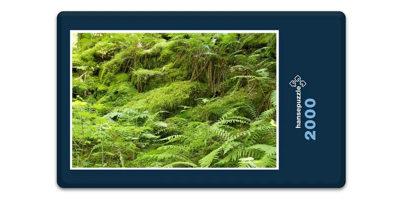 18415 Natur - Farne Puzzle