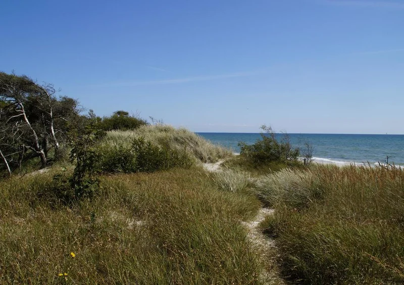 18414 Natur - Düne Puzzle