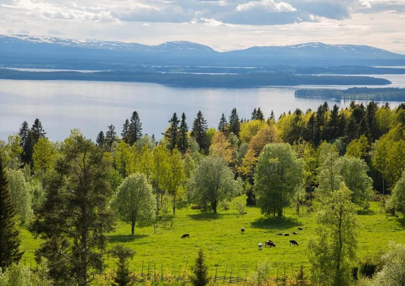 18409 Natur - Fjord Puzzle
