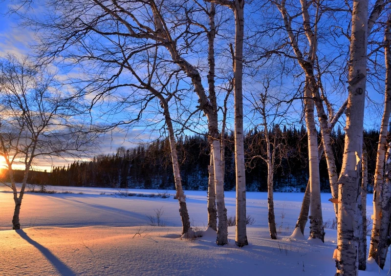 45280 Natur - Winterlandschaft Puzzle