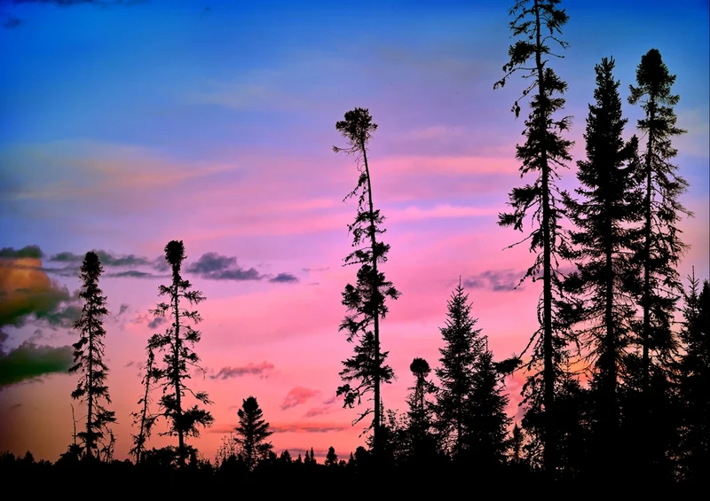 33971 Natur - Landschaft Puzzle