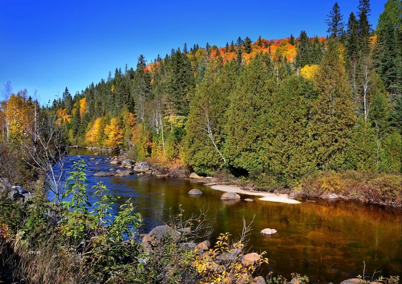 37811 Natur - Herbstliche landschaft Puzzle