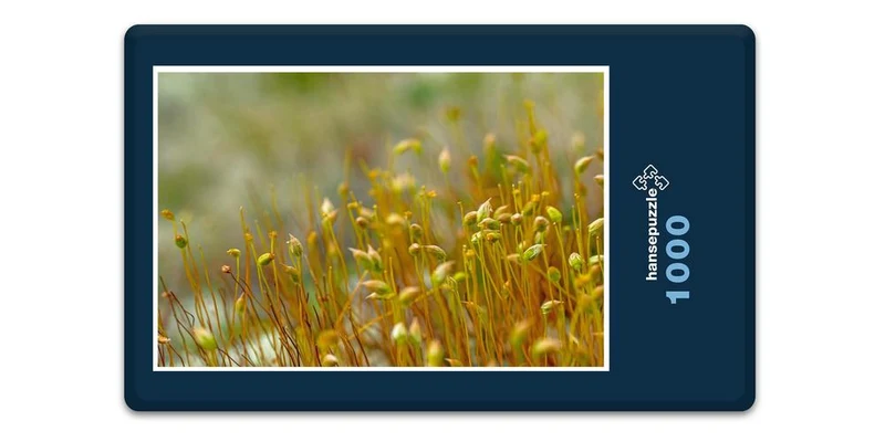 18377 Natur - Winterwiese Puzzle
