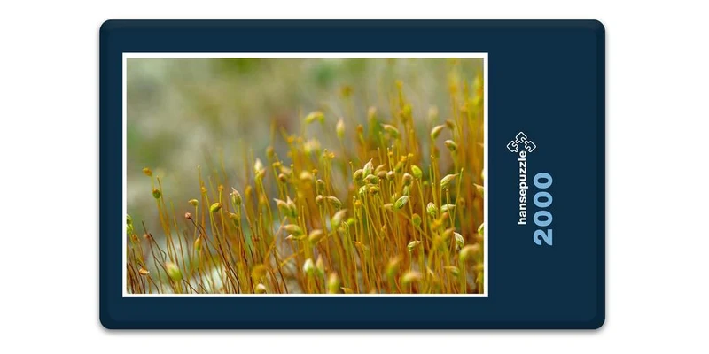 18377 Natur - Winterwiese Puzzle