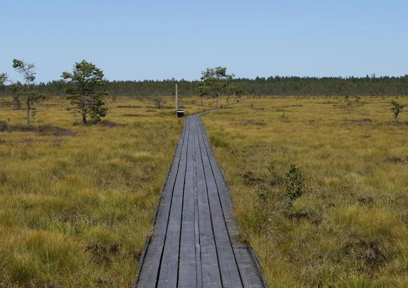 18371 Natur - Holzweg Puzzle