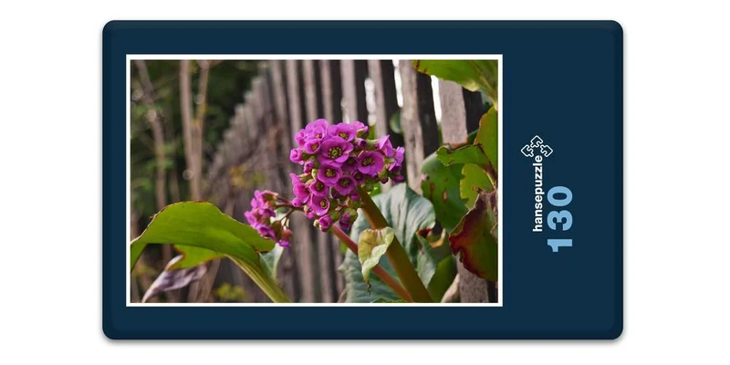18364 Natur - Lila Blume Puzzle