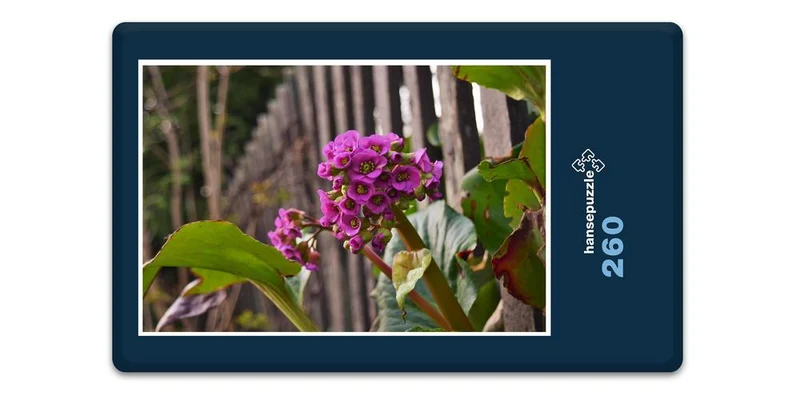 18364 Natur - Lila Blume Puzzle