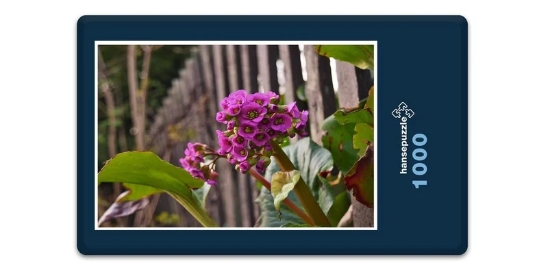 18364 Natur - Lila Blume Puzzle