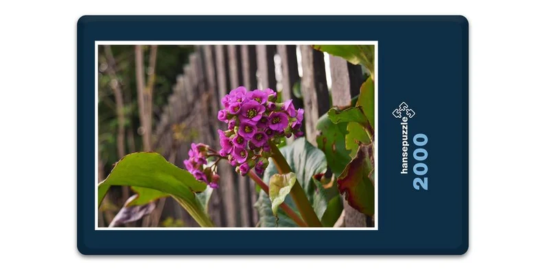 18364 Natur - Lila Blume Puzzle