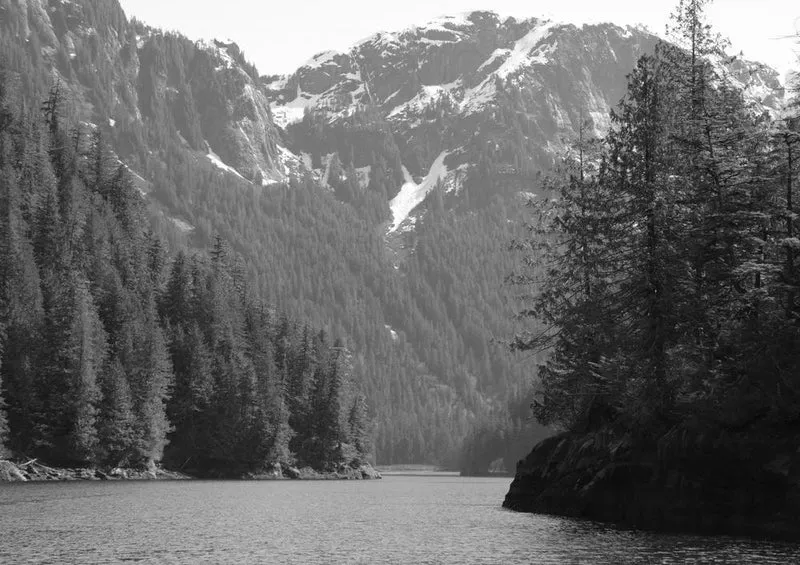 31914 Natur - Misty fjords Puzzle