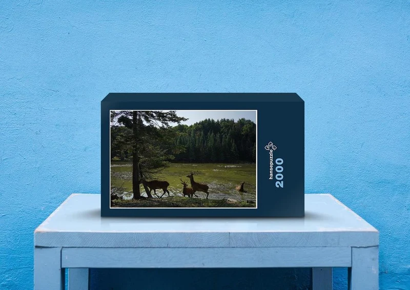 20758 Tierwelt - Rehe am Fluss Puzzle