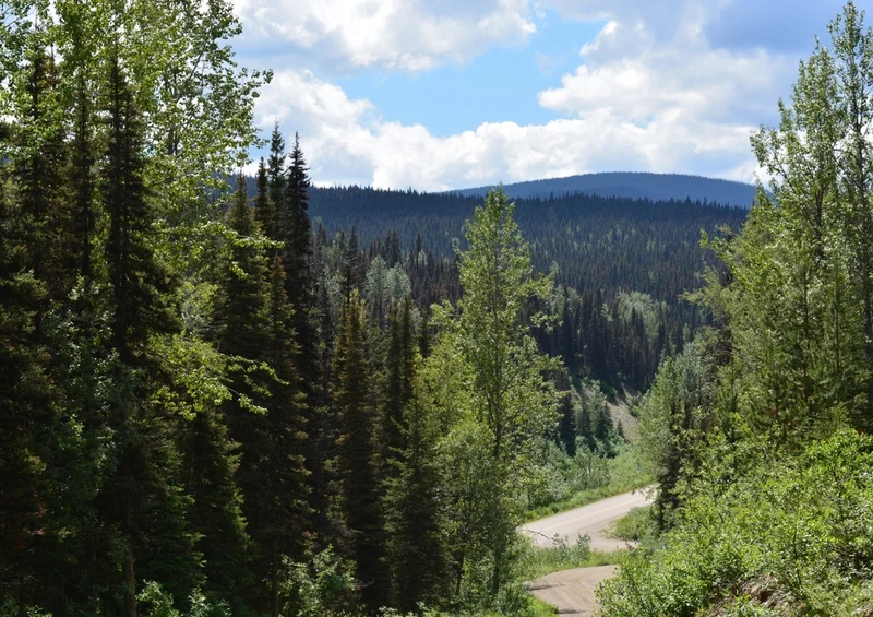 37782 Natur - Kanada Puzzle