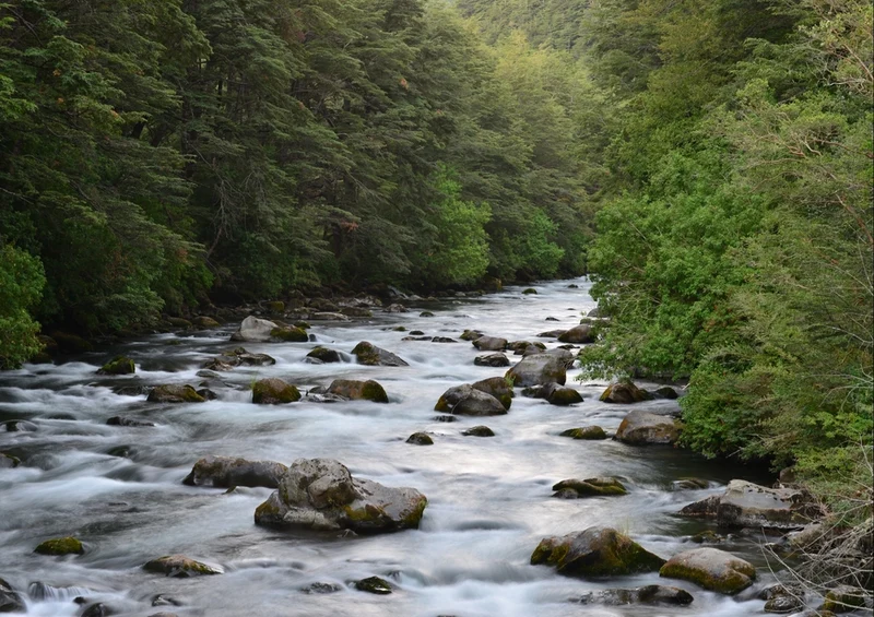 45463 Natur - Fluss Puzzle