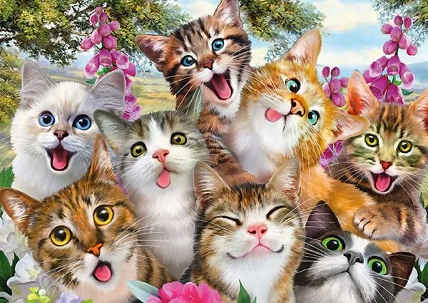 Cat Selfie