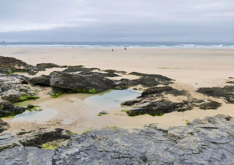 45386 Natur - Cornwall Puzzle