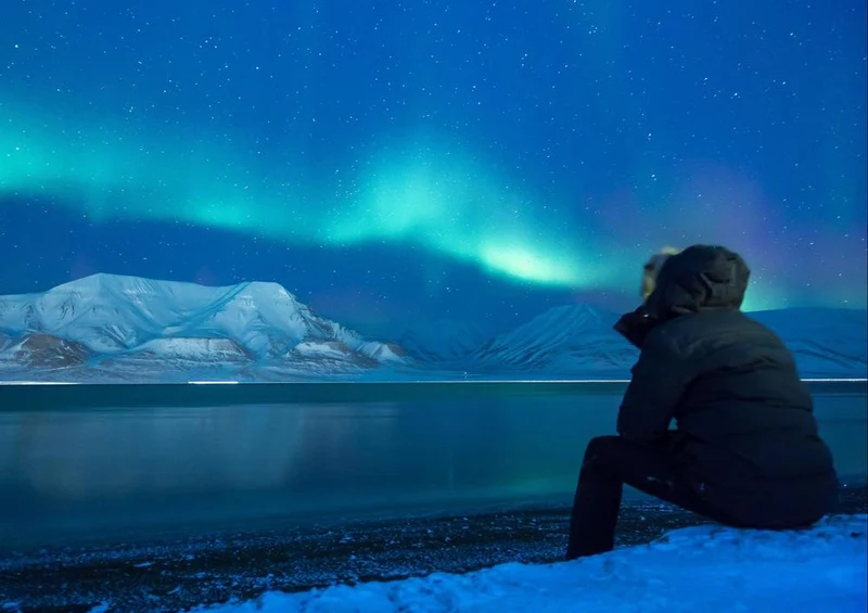 20793 Natur - Polar-Licht Puzzle