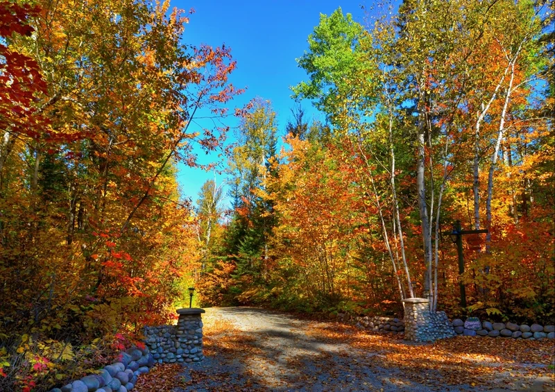 45219 Natur - Herbstliche landschaft Puzzle