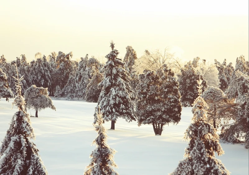 45204 Natur - Winter Puzzle