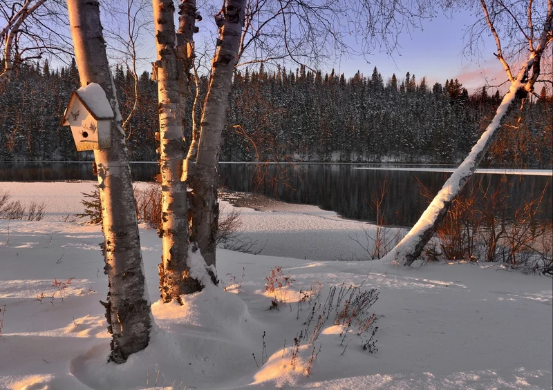 33910 Natur - Winterlandschaft Puzzle