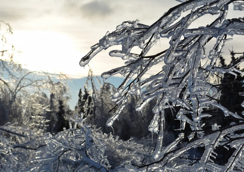 33878 Natur - Winterlandschaft Puzzle