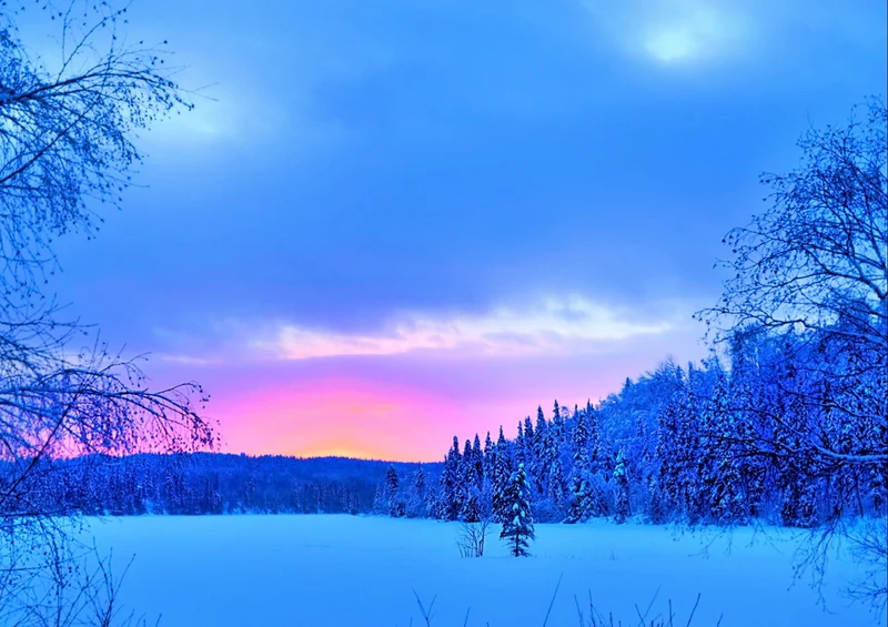 34009 Natur - Winterlandschaft Puzzle
