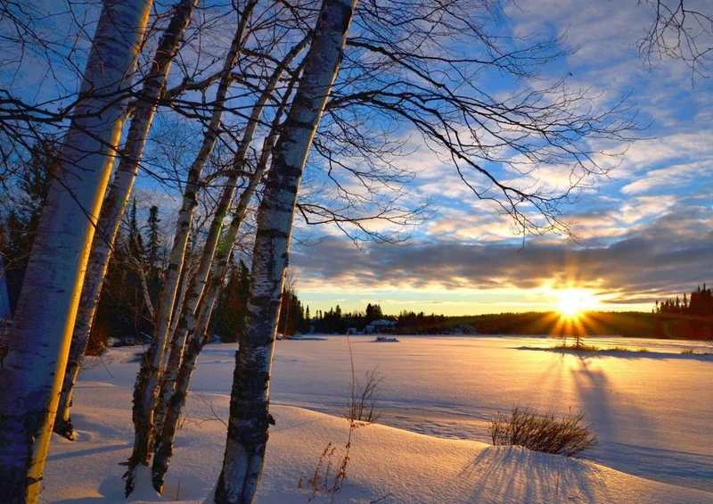 25395 Natur - Sonne im Schnee Puzzle