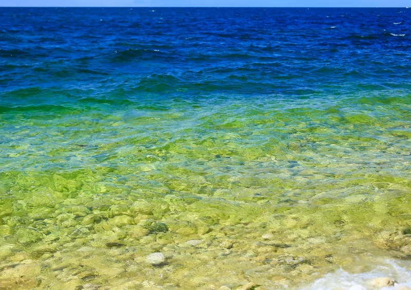 37766 Natur - Meer Puzzle
